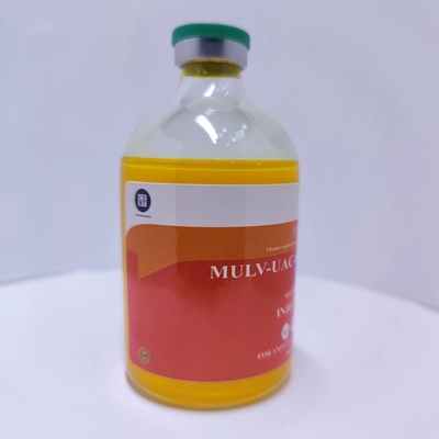 Medicamentos veterinários Injetáveis Injecções de vitaminas múltiplas 100 ml melhor preço
