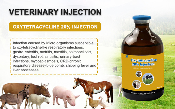 Injeção injetável veterinária do HCl 20% do Oxytetracycline das drogas para as medicinas animais dos cães das cabras dos carneiros do gado