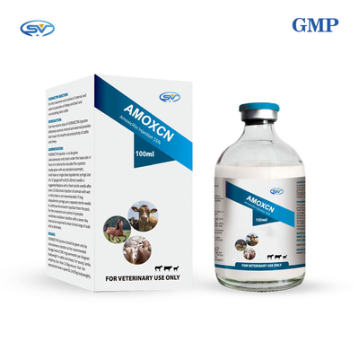 Drogas 100ml antiparasitárias veterinárias da injeção 15% da amoxicilina para a infecção das vias respiratórias do gado